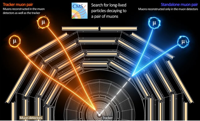 This diagram shows how muon signals can be traced back to the point of long-lived particle decay.